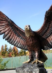 Giant Eagle on Rock - All Classics