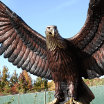 Giant Bronze Eagle